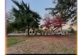 Additional image 18 of 343 and 339 Quaker Church Rd, Randolph, NJ, 07869