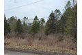 Additional image 8 of Dingman Hill Rd, Bainbridge, NY, 13733