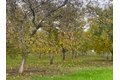 Additional image 2 of 10201 E Fairchild Rd, Stockton, CA, 95215