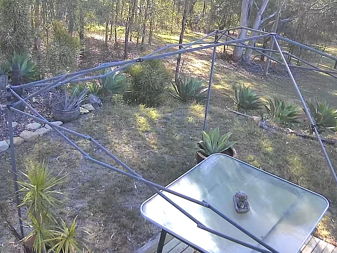 Additional image 17 of 140-146 Stephens Place, Kooralbyn QLD 4285