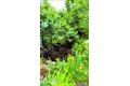 Additional image 44 of 162 Millstone Rd, Millstone, NJ, 08535