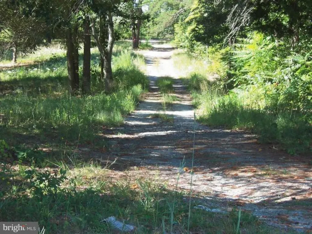 Balty Road, Ruther Glen, VA 22546