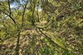 Additional image 28 of 15805 Uvas Rd, Morgan Hill, CA, 95037