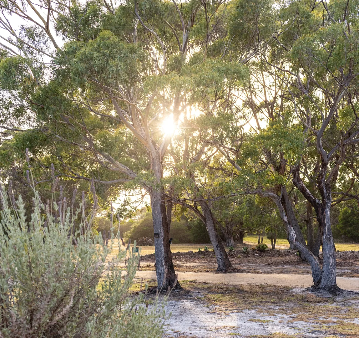 Additional image 6 of 180 Badger Corner Road, Lady Barron TAS 7255