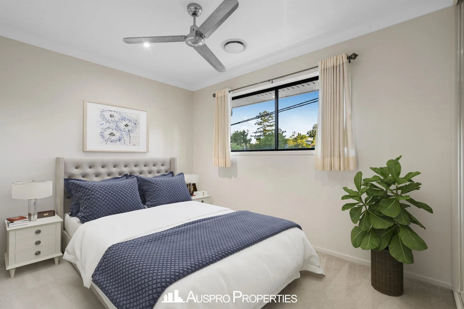 Additional image 15 of 46 Kenneth Street, Coorparoo QLD 4151