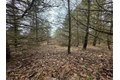 Additional image 14 of Dingman Hill Rd, Bainbridge, NY, 13733