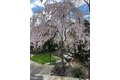 Additional image 50 of 561 Arundel Dr, Severna Park, MD, 21146