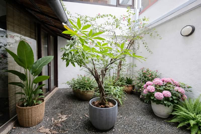 Additional image 5 of EMERALD HILL CONSERVATION AREA