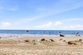 Additional image 40 of 8 Cary Rd, Plymouth, MA, 02360