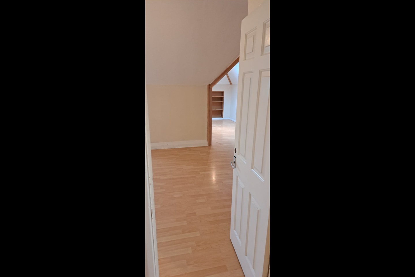 Room in a Shared Flat, Davigdor Road, BN3, N1 7GU photo 3