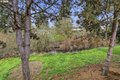 Additional image 26 of 1010 SE 3rd Ave, Battle Ground, WA, 98604