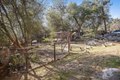 Additional image 52 of 30793 N Dome Dr, Coarsegold, CA, 93614