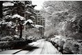 4465 Douglas Ave Apt 9M, Bronx, NY, 10471