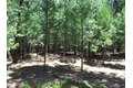 Additional image 39 of 15610 Nopel Rd, Forest Ranch, CA, 95942