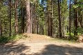 Additional image 36 of 47824 Brammer Purl Rd, Oakhurst, CA, 93644