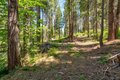 Additional image 34 of 47824 Brammer Purl Rd, Oakhurst, CA, 93644