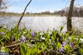 Additional image 76 of 801 Linslade St, Gaithersburg, MD, 20878