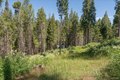 Additional image 37 of 47824 Brammer Purl Rd, Oakhurst, CA, 93644