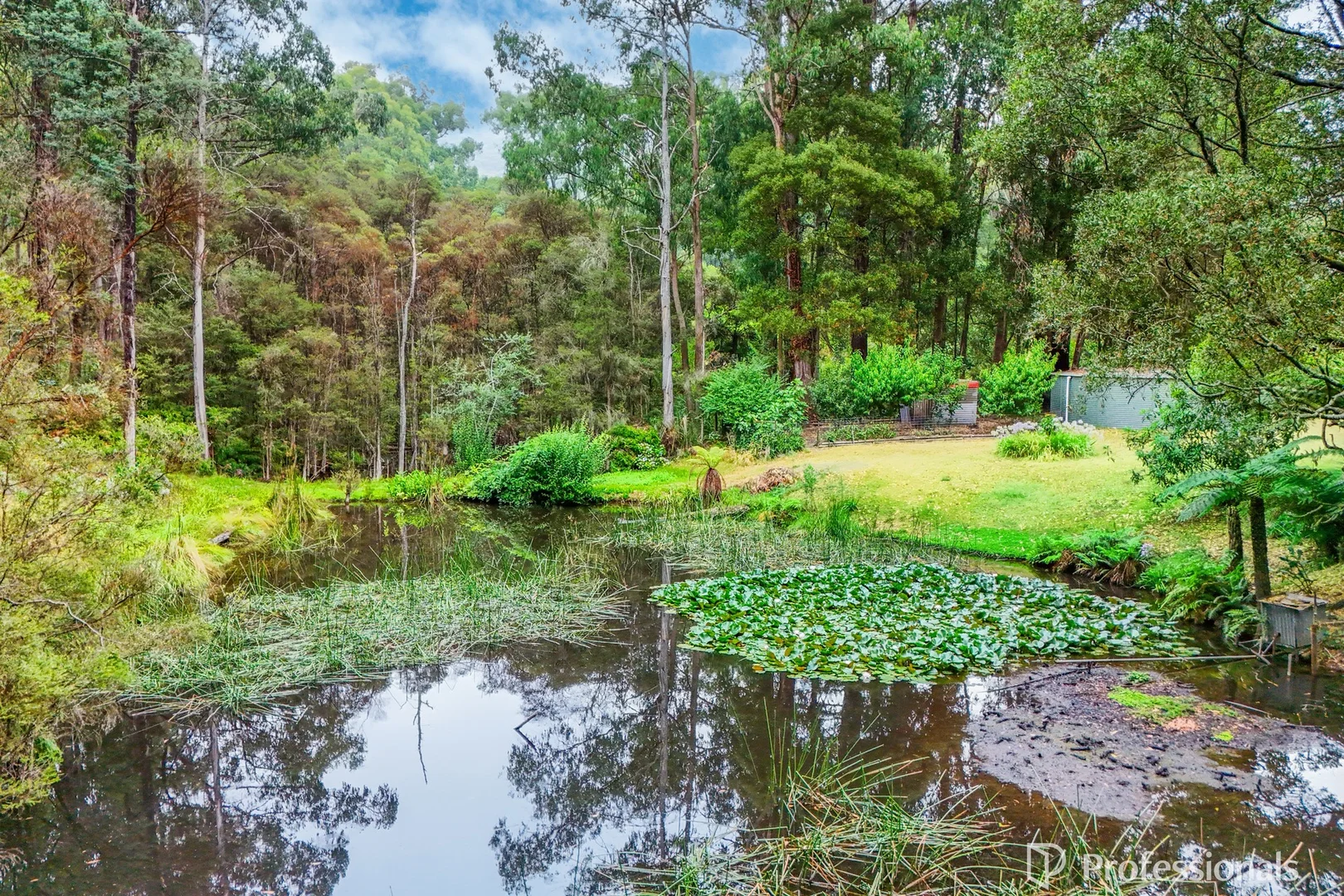 Additional image 4 of 23 Hacketts Creek Road, Three Bridges VIC 3797