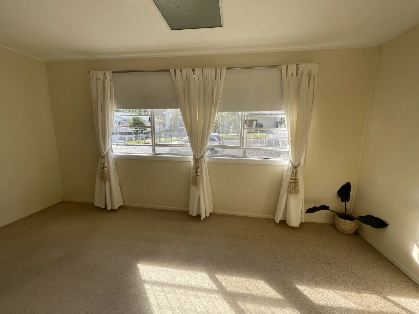 Additional image 2 of 48 Hall Street, Alderley QLD 4051