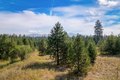 Additional image 16 of 3692 Spring Valley Rd, Newport, WA, 99156