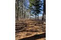 Additional image 4 of 139 Wellman Ave Unit 139, Chelmsford, MA, 01863