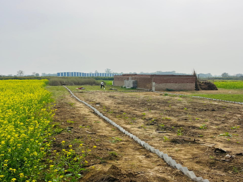 Additional image 3 of Kanhauli, Bihta, Patna