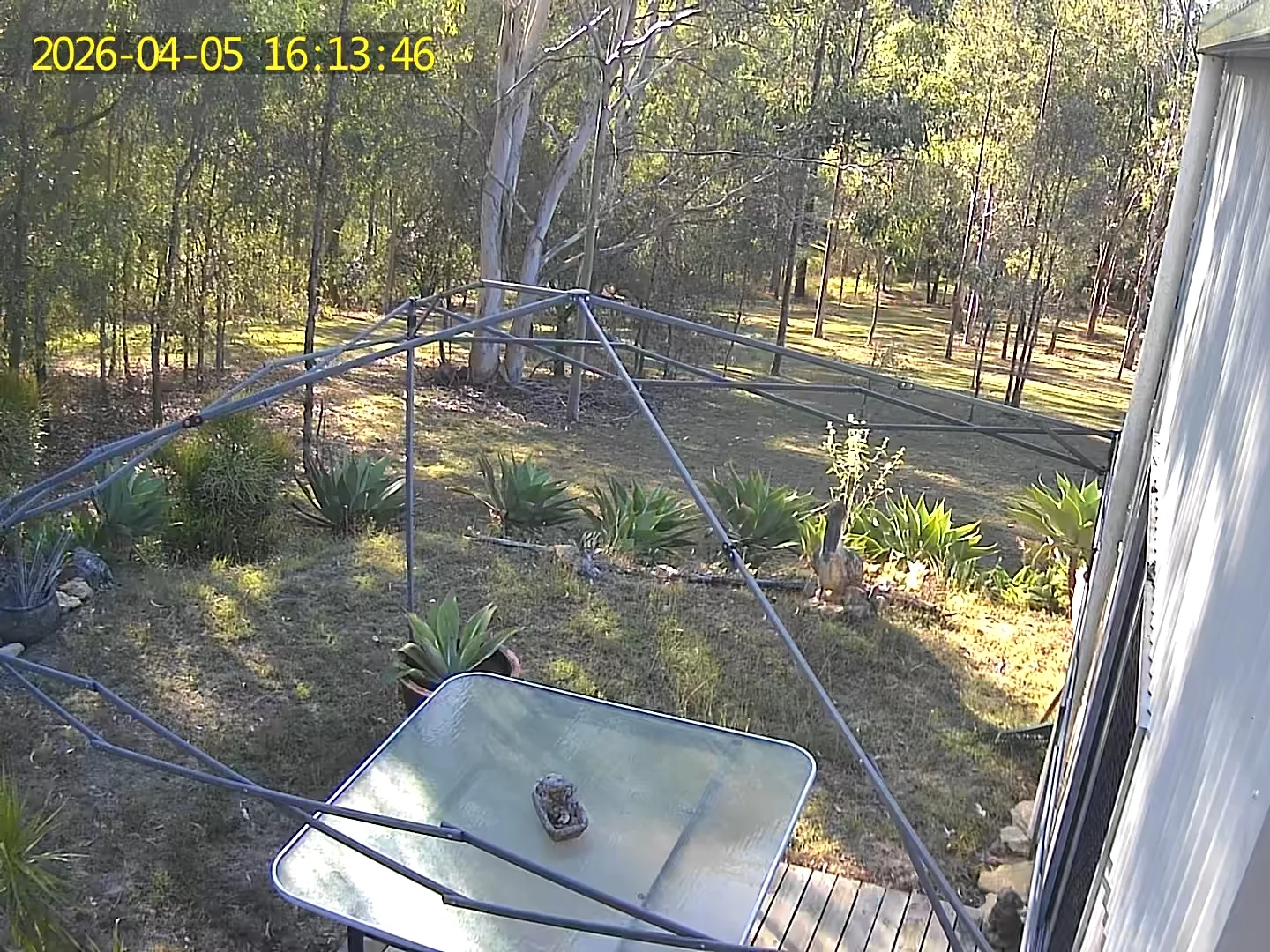 Additional image 16 of 140-146 Stephens Place, Kooralbyn QLD 4285