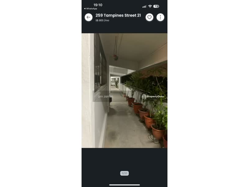 259 Tampines Street 21 photo 3