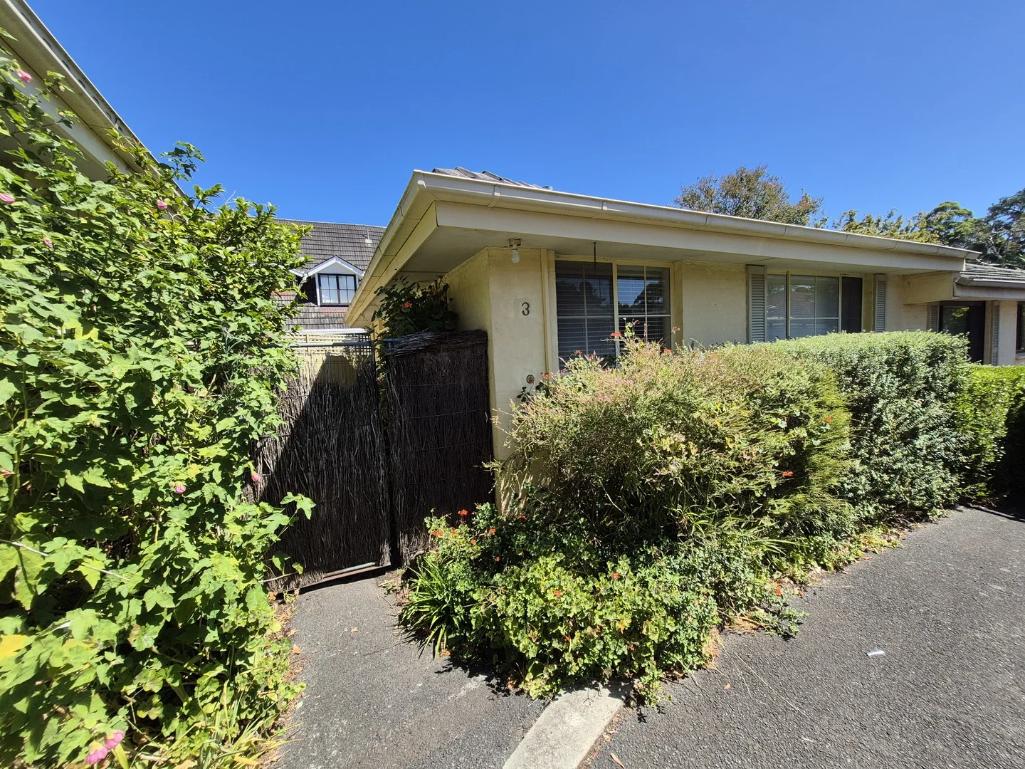 3/27A Laburnum Street, Blackburn VIC 3130