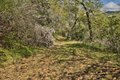 Additional image 21 of 15805 Uvas Rd, Morgan Hill, CA, 95037