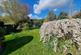 Framlingham, Nr Woodbridge, Suffolk photo 4