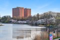 Additional image 29 of 375 MT Prospect Ave Apt 6DW, Newark, NJ, 07104