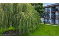Additional image 4 of 4402 212th St SW, Mountlake Terrace, WA, 98043