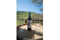 Additional image 48 of 2935 Sorrel Ln, Paso Robles, CA, 93446