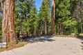 Additional image 27 of 47824 Brammer Purl Rd, Oakhurst, CA, 93644