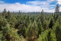 Additional image 23 of 3692 Spring Valley Rd, Newport, WA, 99156