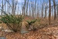 Additional image 48 of 4525 Roop Rd, Mount Airy, MD, 21771
