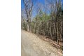 234 Tarbell Hill Rd, Deposit, NY, 13754