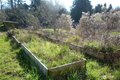 Additional image 20 of 180 Stonehaven Ln, Sequim, WA, 98382