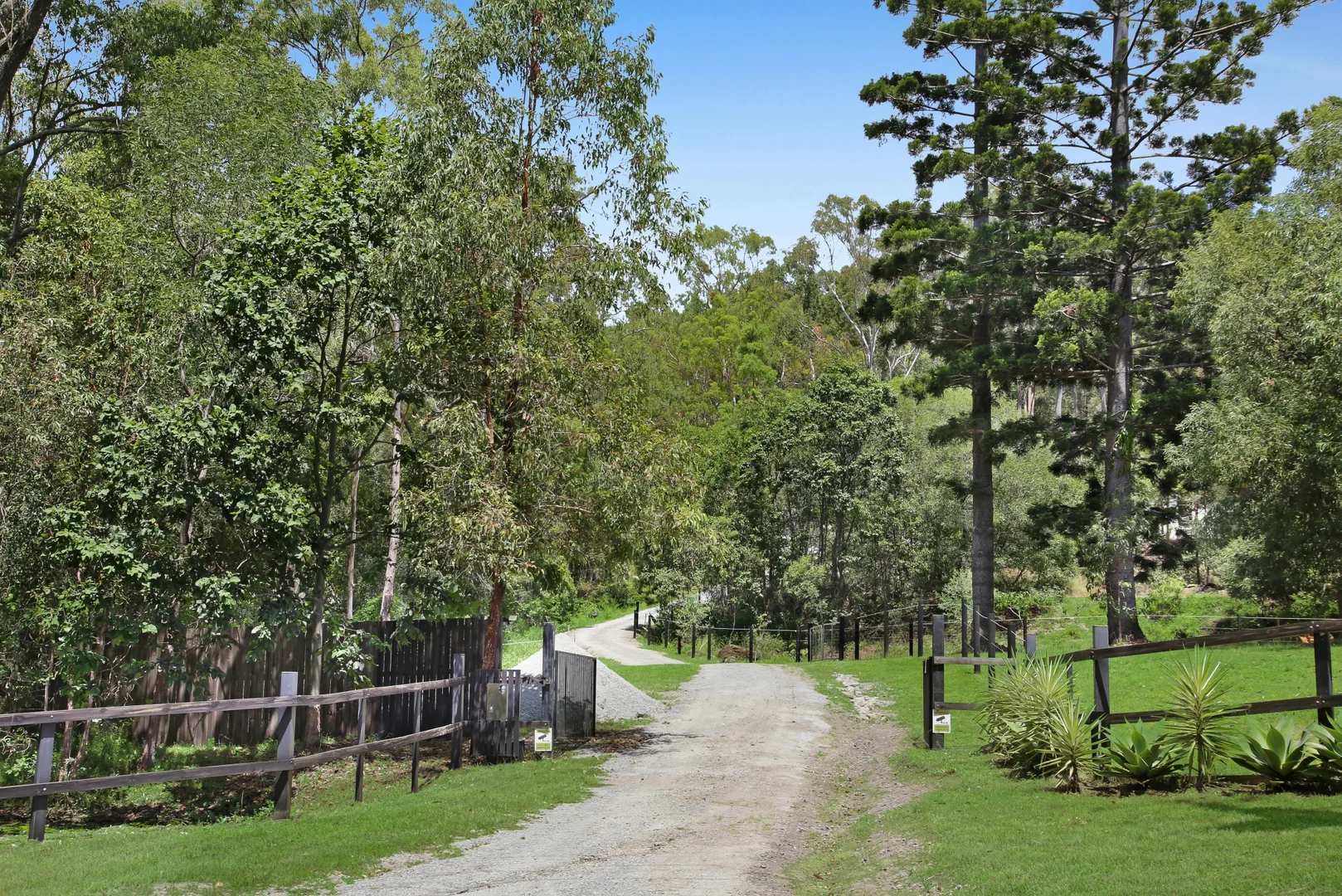 Additional image 2 of 745 Gilston Road, Gilston QLD 4211