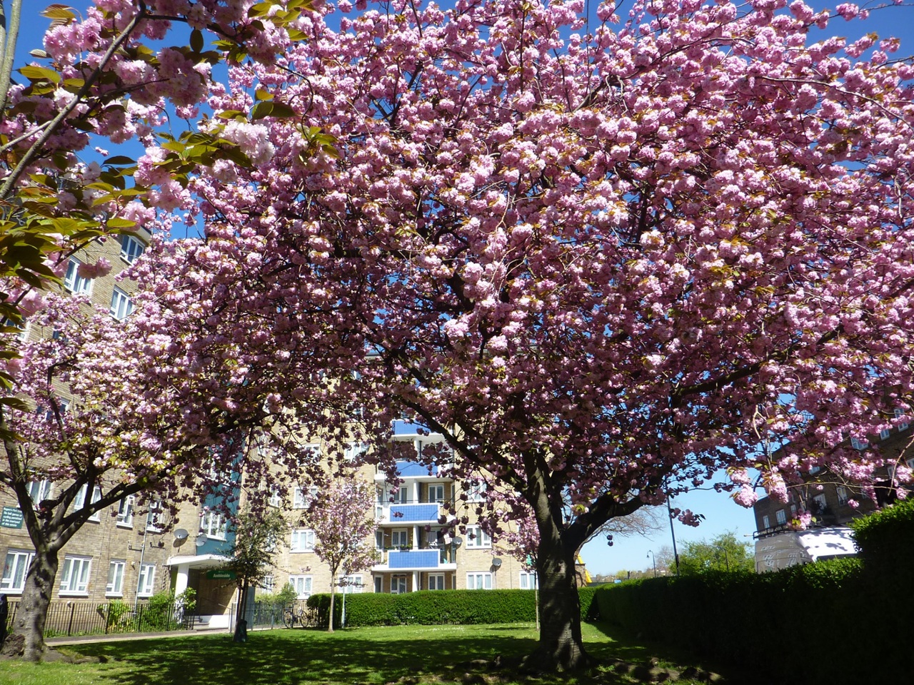 3 Bed Flat, Ambleside, NW1, N1 7GU