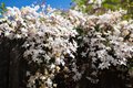 Additional image 29 of 300 Stony Point Rd Apt 139, Santa Rosa, CA, 95401
