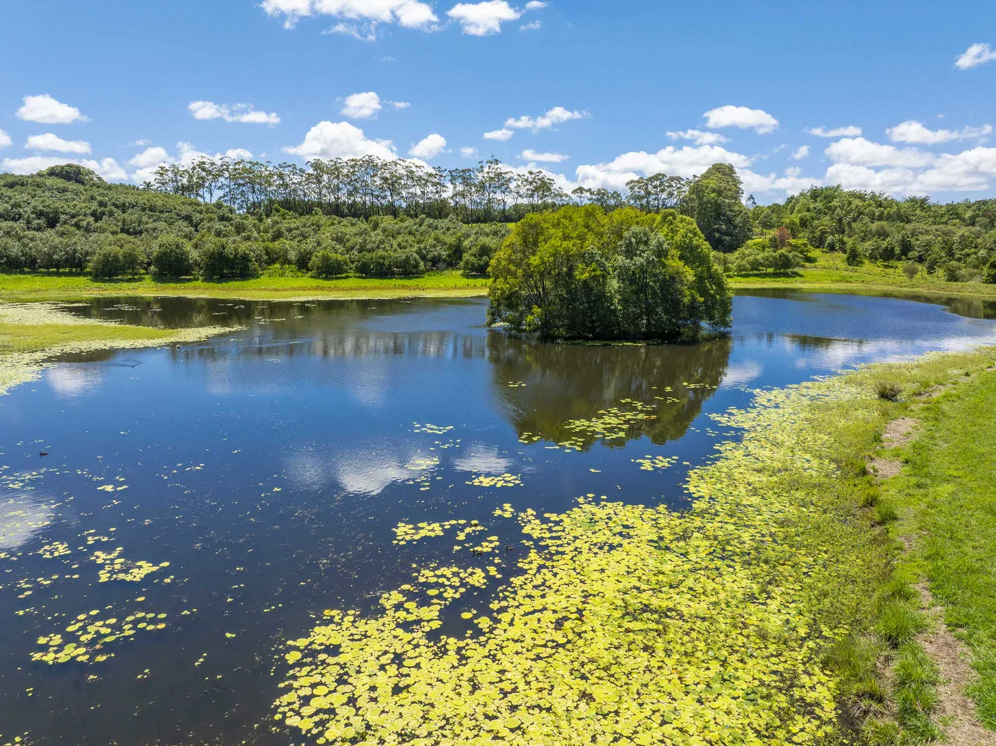 Additional image 7 of 308 Cowlong Road, McLeans Ridges NSW 2480