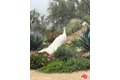 Additional image 60 of 23255 W Paloma Blanca Dr, Malibu, CA, 90265
