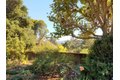 Additional image 46 of 9 Story Rd, Carmel Valley, CA, 93924