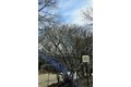 Additional image 32 of 155 Kilsyth Rd, Boston, MA, 02135