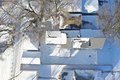 Additional image 45 of 8750 S Princeton Ave, Chicago, IL, 60620