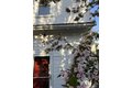 Additional image 33 of 303 Nahant Rd, Nahant, MA, 01908