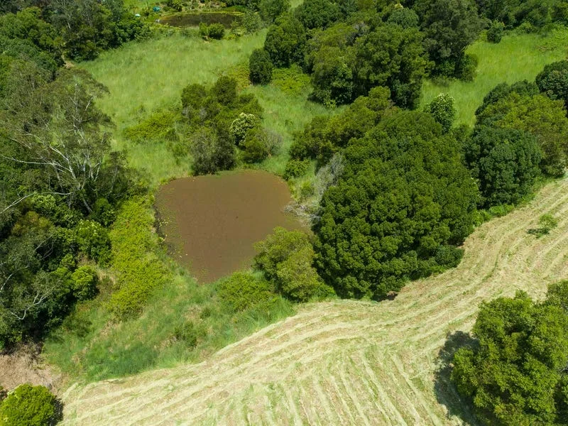 Additional image 3 of 21 Shipway Road, Nimbin NSW 2480